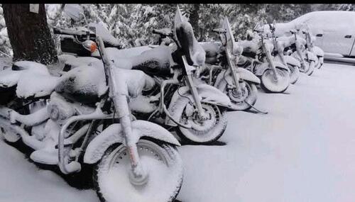 Foto - Stellplatz zur Überwinterung Auto, Motorrad, etc