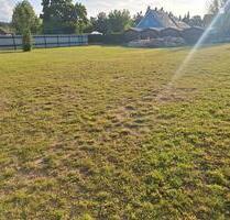 Grundstück Stellplatz Freifläche Abstellmöglichkeit zu vermieten - Oranienburg