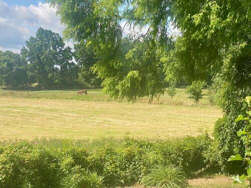 Foto - Einfamilienhaus in Reppenstedt