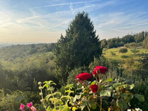 Foto - Etagenwohnung in Königstein im Taunus zur Miete