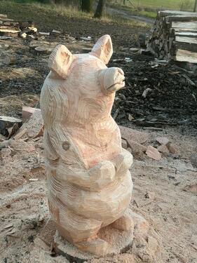 Foto - Büro Haus mit großem Hunde Freilauf
