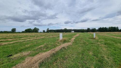 Foto - andere in Witten