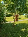 Foto - KRASS REDUZIERT! 235 m² Wohnfläche zum Hammerpreis in 96181