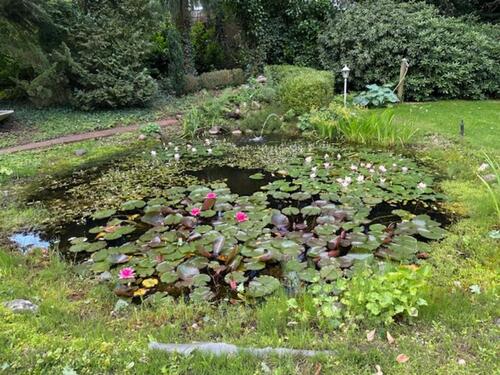 Foto - Einfamilienhaus in Bispingen zum Kaufen