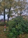 Foto - Einfamilienhaus in Weidenberg