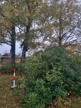 Foto - Einfamilienhaus in Weidenberg
