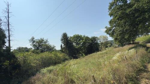 Foto - Grundst&uuml;ck zur Miete in Königswinter