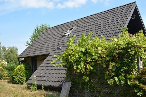 Foto - andere in Fintel