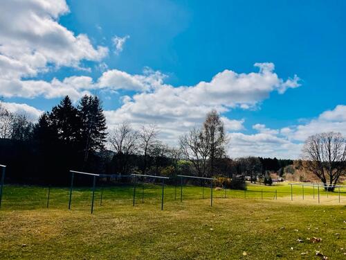 Foto - 2 Zimmer Dachgeschoßwohnung zur Miete in Neuensalz