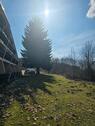 Foto - Wohnung 38 m2 i - 49.000,00&nbsp;EUR Kaufpreis, ca.&nbsp; 38,00&nbsp;m&sup2;