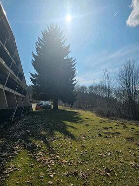 Foto - Wohnung 38 m2 i - 49.000,00&nbsp;EUR Kaufpreis, ca.&nbsp; 38,00&nbsp;m&sup2;