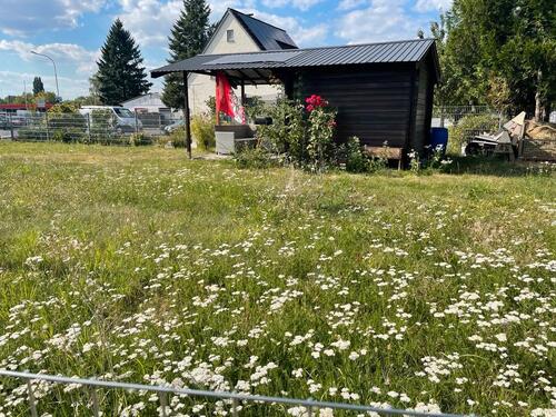 Foto - Grundst&uuml;ck zur Miete in Königswinter