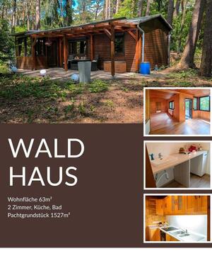 Foto - Wald Haus im der Lünebürger Heide