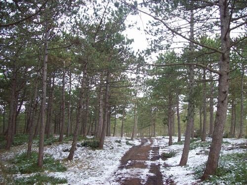 Foto - andere in Bochum