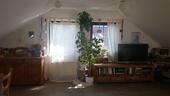 Foto - 2 Zimmer Etagenwohnung zum Kaufen in Eschwege