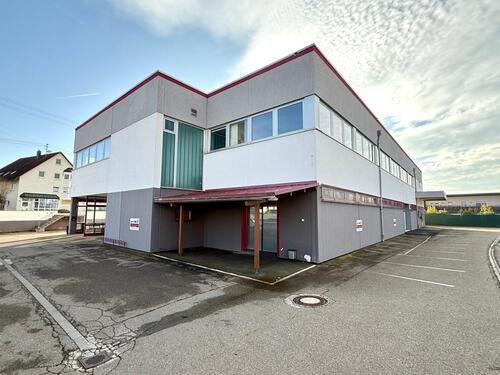 Foto - andere in Lauingen (Donau)