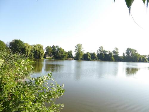 Foto - Ein Nest im Grünen für die kleine Familie.