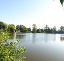Ein Nest im Grünen für die kleine Familie. - Borsdorf