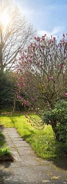 Foto - Bungalow mit traumhaften Garten