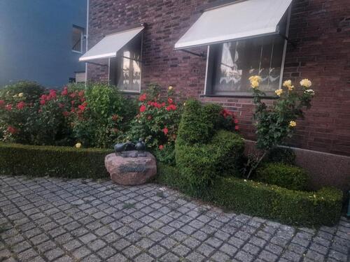 Foto - Einfamilienhaus zum Kaufen in Merzenich