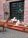 Foto - Einfamilienhaus in Merzenich zum Kaufen