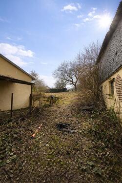 Foto - 5 Zimmer Einfamilienhaus zum Kaufen in Riesweiler