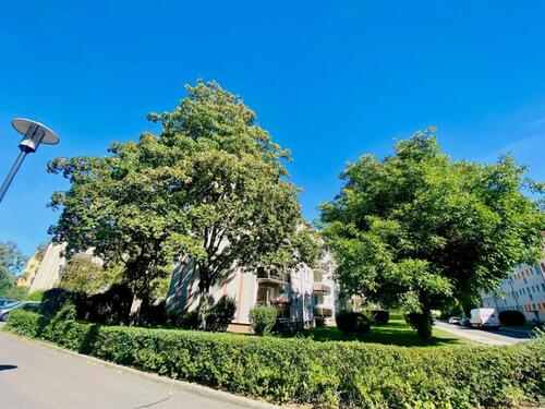 Foto - Wir sanieren für Sie! - 530,00&nbsp;EUR Kaltmiete, ca.&nbsp; 75,45&nbsp;m&sup2;