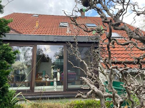 Foto - Einfamilienhaus in Herzberg (Elster)