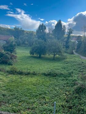 Foto - Bauernhaus, Landhaus in Rehlingen-Siersburg zum Kaufen