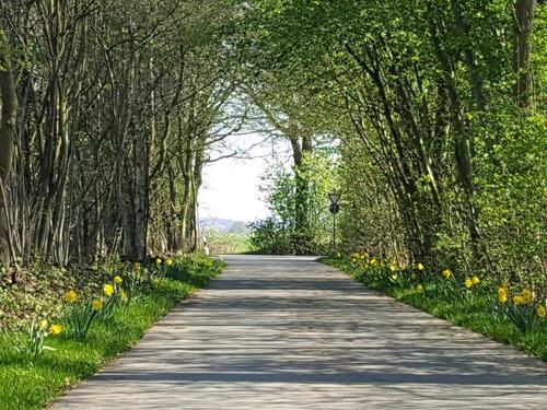 Foto - Freie Parzellen auf Dauercampingplatz für Mobilheime