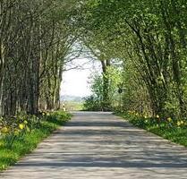 Freie Parzellen auf Dauercampingplatz für Mobilheime - Coesfeld