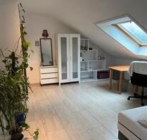 Geräumiges Möbliertes Zimmer - ab 01.01.26 oder 15.01.26 - Frankfurt am Main Sachsenhausen Süd