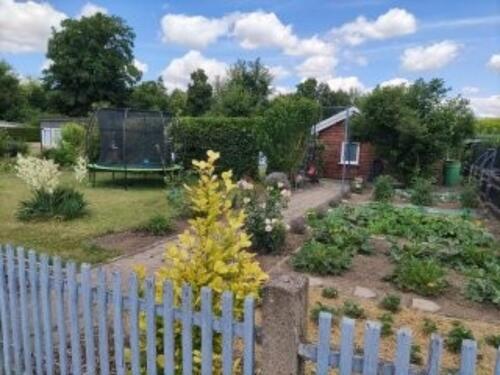 Foto - Gepflegter Pachtgarten Brenneckestraße