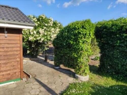 Foto - Grundst&uuml;ck in Magdeburg zur Miete