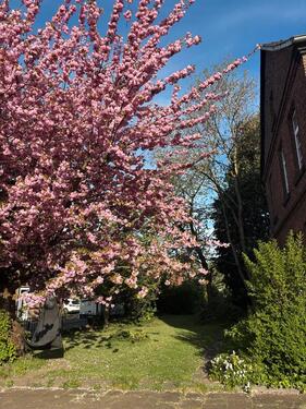 Foto - 9 Zimmer Einfamilienhaus zum Kaufen in Bergheim