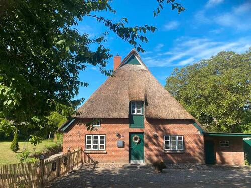 Foto - Reetdachhaus in der Lübecker Bucht