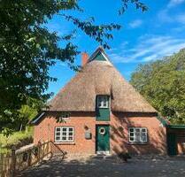 Reetdachhaus in der Lübecker Bucht - Neustadt in Holstein