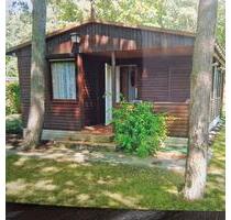 Bungalow und Carport in Caputh - 29.500,00&nbsp;EUR Kaufpreis, ca.&nbsp; 40,00&nbsp;m&sup2; in Schwielowsee (PLZ: 14548)