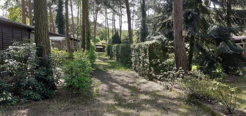 Foto - 1 Zimmer Bungalow zum Kaufen in Schwielowsee