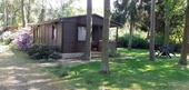 Foto - Bungalow in Schwielowsee zum Kaufen