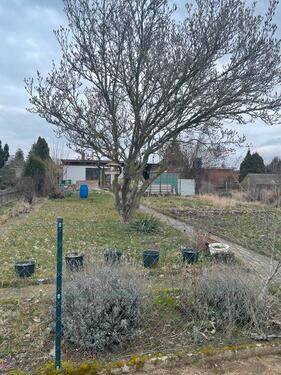 Foto - Grundst&uuml;ck in Köthen (Anhalt)