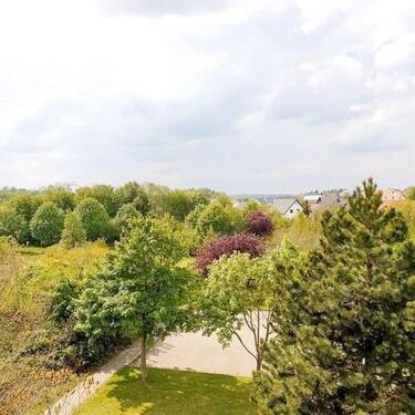 Foto - Die Sterne zum Greifen nah - 519,00 EUR Kaltmiete,