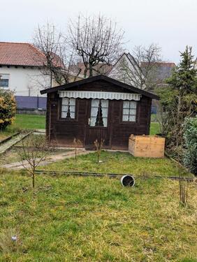 Foto - Etagenwohnung in Schifferstadt zur Miete