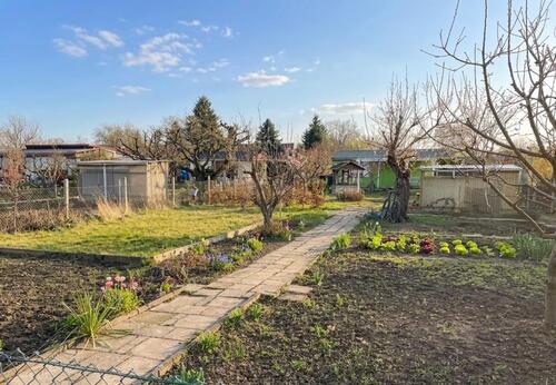 Foto - Kleingarten mit Laube in Stadtfeld Ost