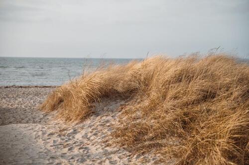 Foto - andere in Großenbrode