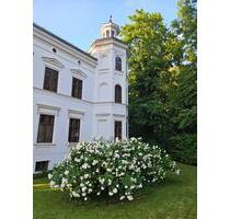 Großzügige 3-Raum-Wohnung in herrschaftlicher Villa am Stadtpark - Görlitz