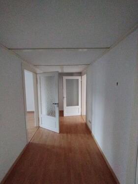 Foto - 2 Zimmer Erdgeschoßwohnung zur Miete in Chemnitz
