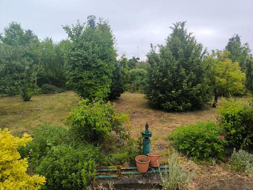 Foto - Garten, Pachtgarten, Parzelle, Rotensee Magdeburg