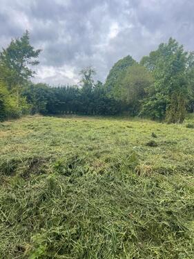 Foto - 9 Zimmer Einfamilienhaus zum Kaufen in Hameln
