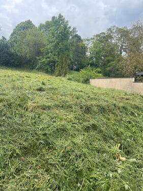 Foto - 9 Zimmer Einfamilienhaus in Hameln